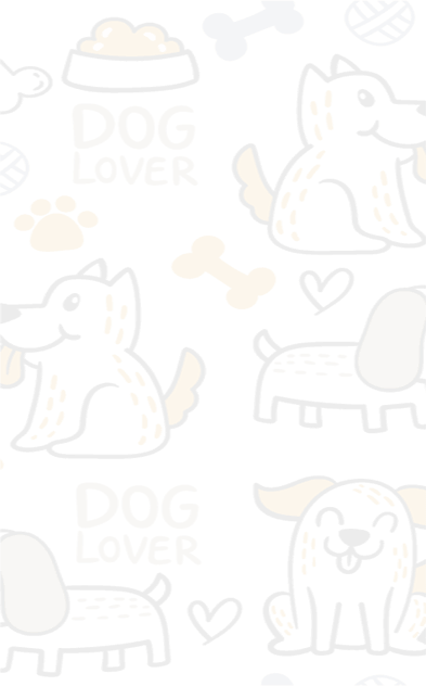 Best Veterinary Center Woodbury