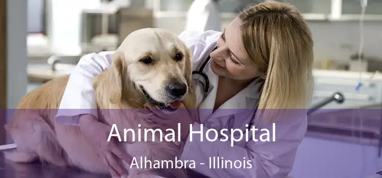 Animal Hospital Alhambra - Illinois