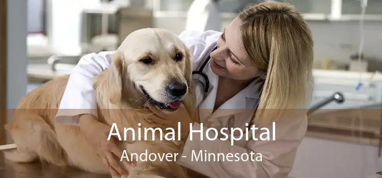 Animal Hospital Andover - Minnesota