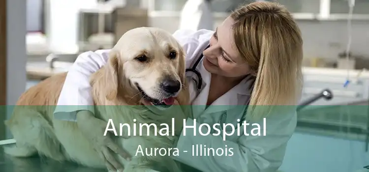 Animal Hospital Aurora - Illinois