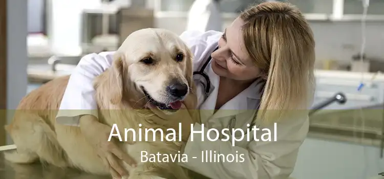 Animal Hospital Batavia - Illinois