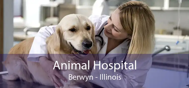 Animal Hospital Berwyn - Illinois