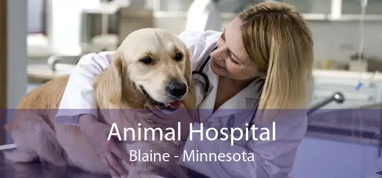 Animal Hospital Blaine - Minnesota