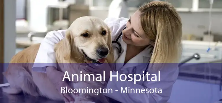 Animal Hospital Bloomington - Minnesota