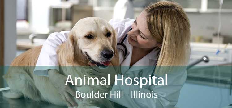 Animal Hospital Boulder Hill - Illinois