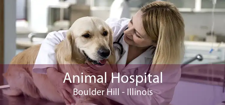 Animal Hospital Boulder Hill - Illinois