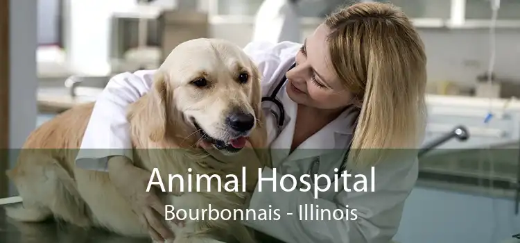 Animal Hospital Bourbonnais - Illinois