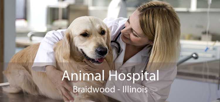 Animal Hospital Braidwood - Illinois