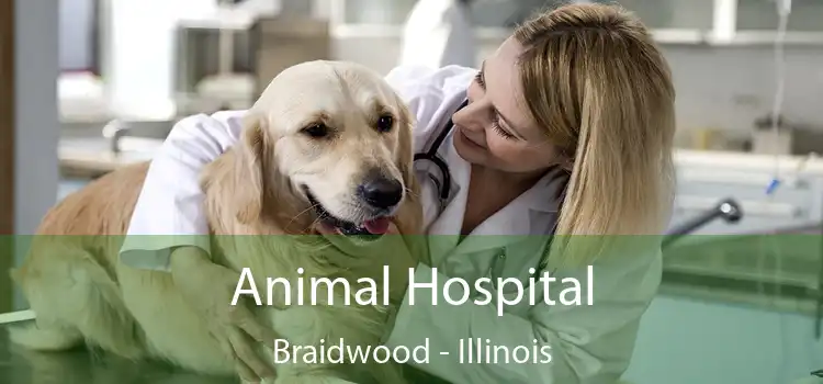 Animal Hospital Braidwood - Illinois