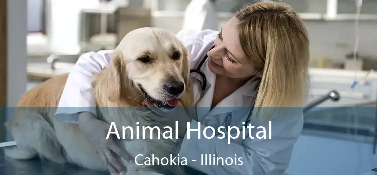 Animal Hospital Cahokia - Illinois