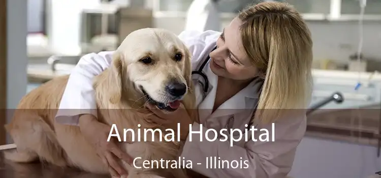 Animal Hospital Centralia - Illinois