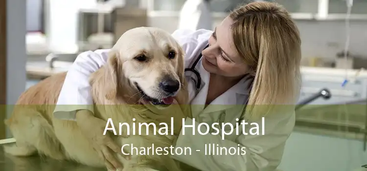 Animal Hospital Charleston - Illinois
