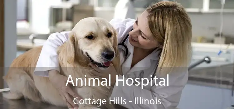 Animal Hospital Cottage Hills - Illinois