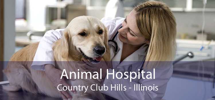 Animal Hospital Country Club Hills - Illinois