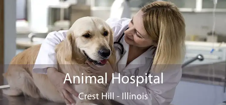 Animal Hospital Crest Hill - Illinois