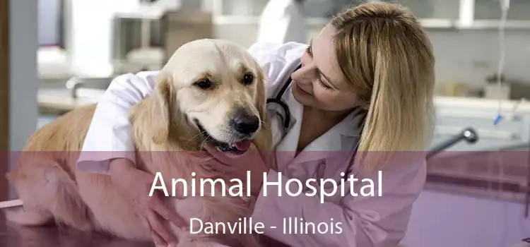 Animal Hospital Danville - Illinois