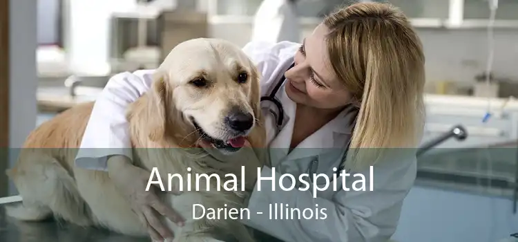Animal Hospital Darien - Illinois
