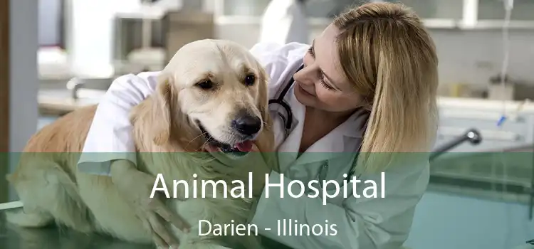 Animal Hospital Darien - Illinois