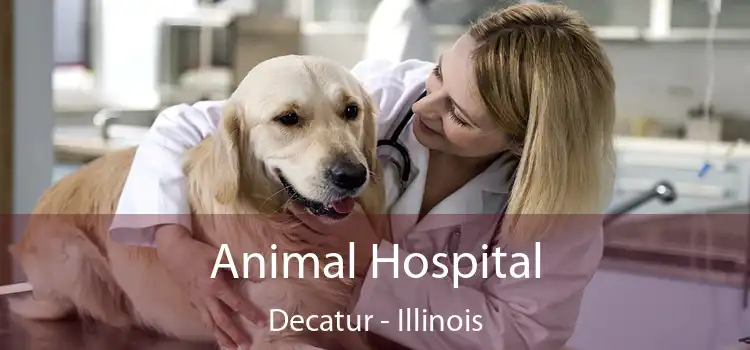 Animal Hospital Decatur - Illinois