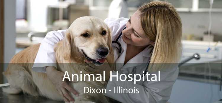 Animal Hospital Dixon - Illinois