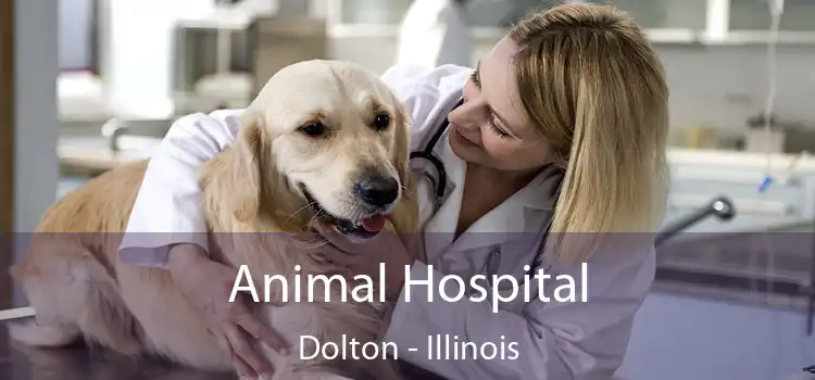 Animal Hospital Dolton - Illinois