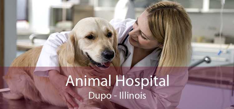 Animal Hospital Dupo - Illinois