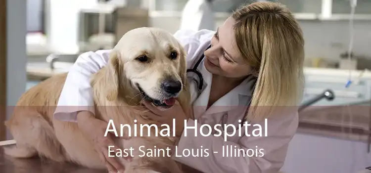 Animal Hospital East Saint Louis - Illinois