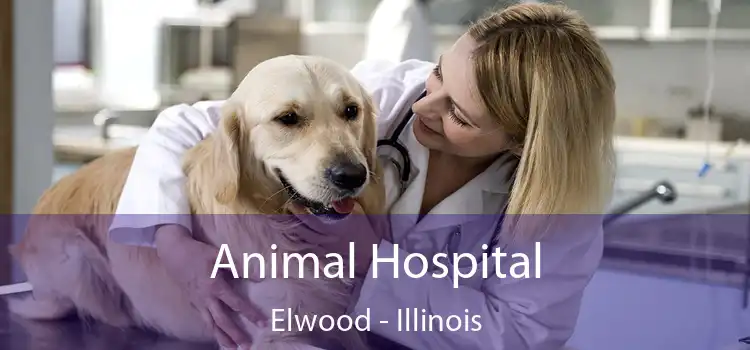 Animal Hospital Elwood - Illinois