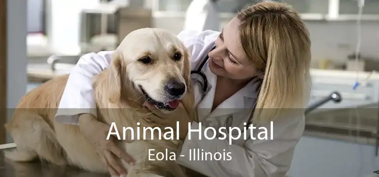 Animal Hospital Eola - Illinois