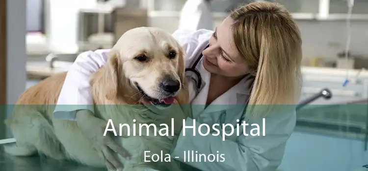 Animal Hospital Eola - Illinois