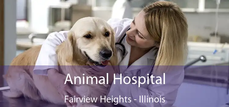 Animal Hospital Fairview Heights - Illinois