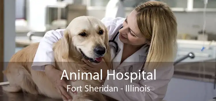Animal Hospital Fort Sheridan - Illinois