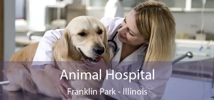 Animal Hospital Franklin Park - Illinois