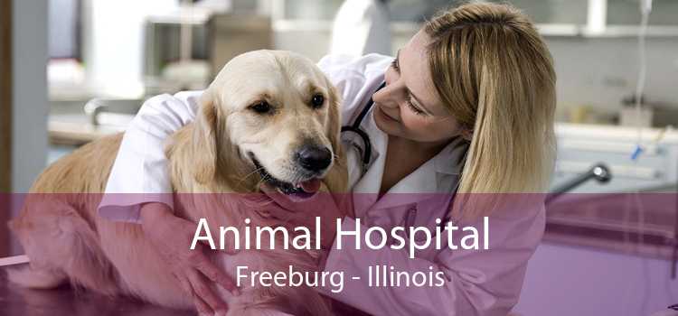 Animal Hospital Freeburg - Illinois