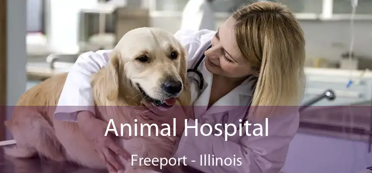 Animal Hospital Freeport - Illinois