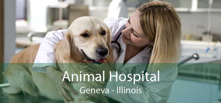 Animal Hospital Geneva - Illinois