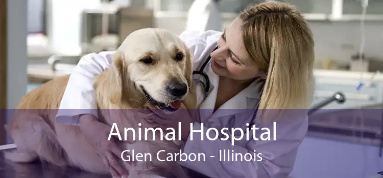 Animal Hospital Glen Carbon - Illinois