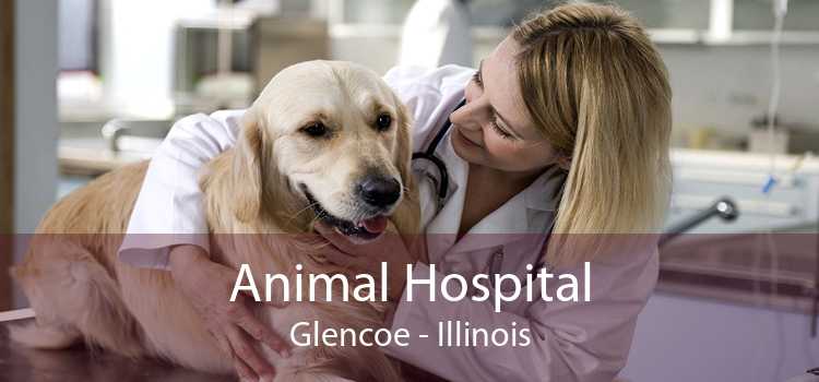 Animal Hospital Glencoe - Illinois