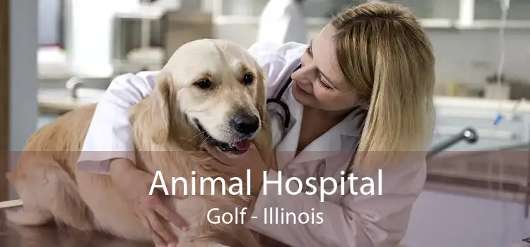 Animal Hospital Golf - Illinois