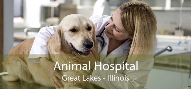 Animal Hospital Great Lakes - Illinois