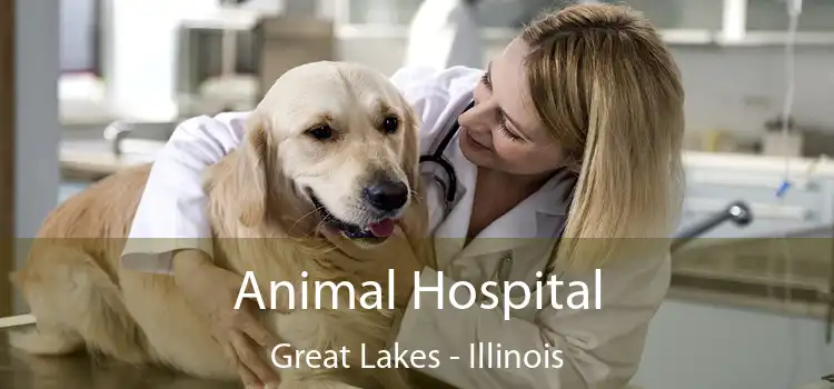 Animal Hospital Great Lakes - Illinois