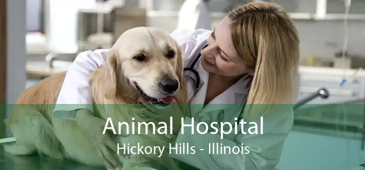 Animal Hospital Hickory Hills - Illinois
