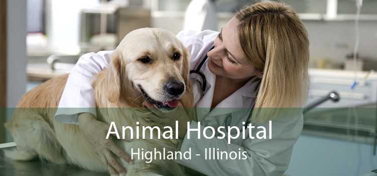 Animal Hospital Highland - Illinois