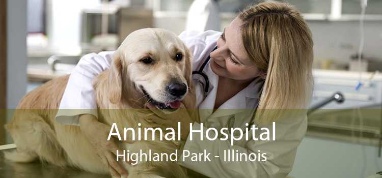 Animal Hospital Highland Park - Illinois