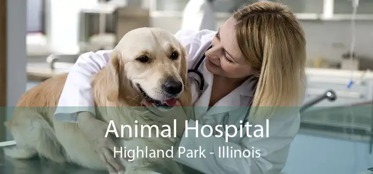 Animal Hospital Highland Park - Illinois
