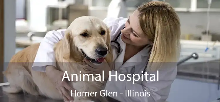 Animal Hospital Homer Glen - Illinois