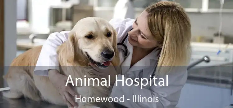 Animal Hospital Homewood - Illinois