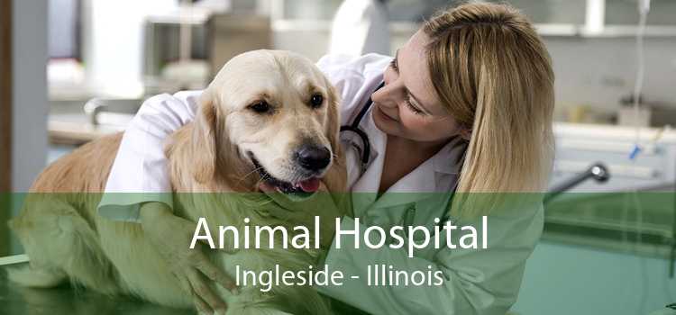 Animal Hospital Ingleside - Illinois
