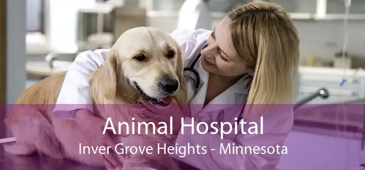 Animal Hospital Inver Grove Heights - Minnesota