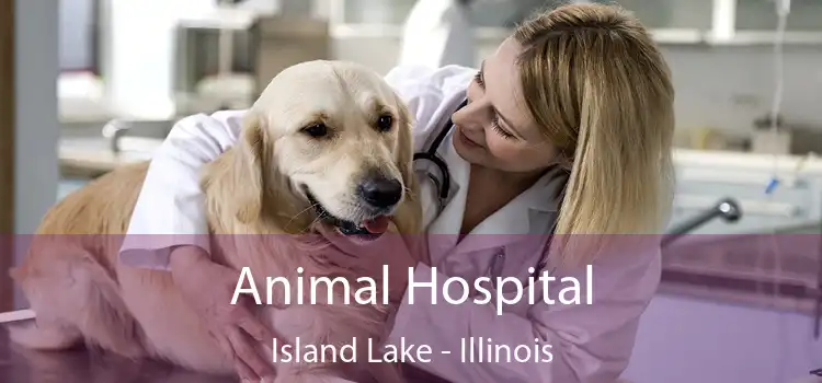 Animal Hospital Island Lake - Illinois